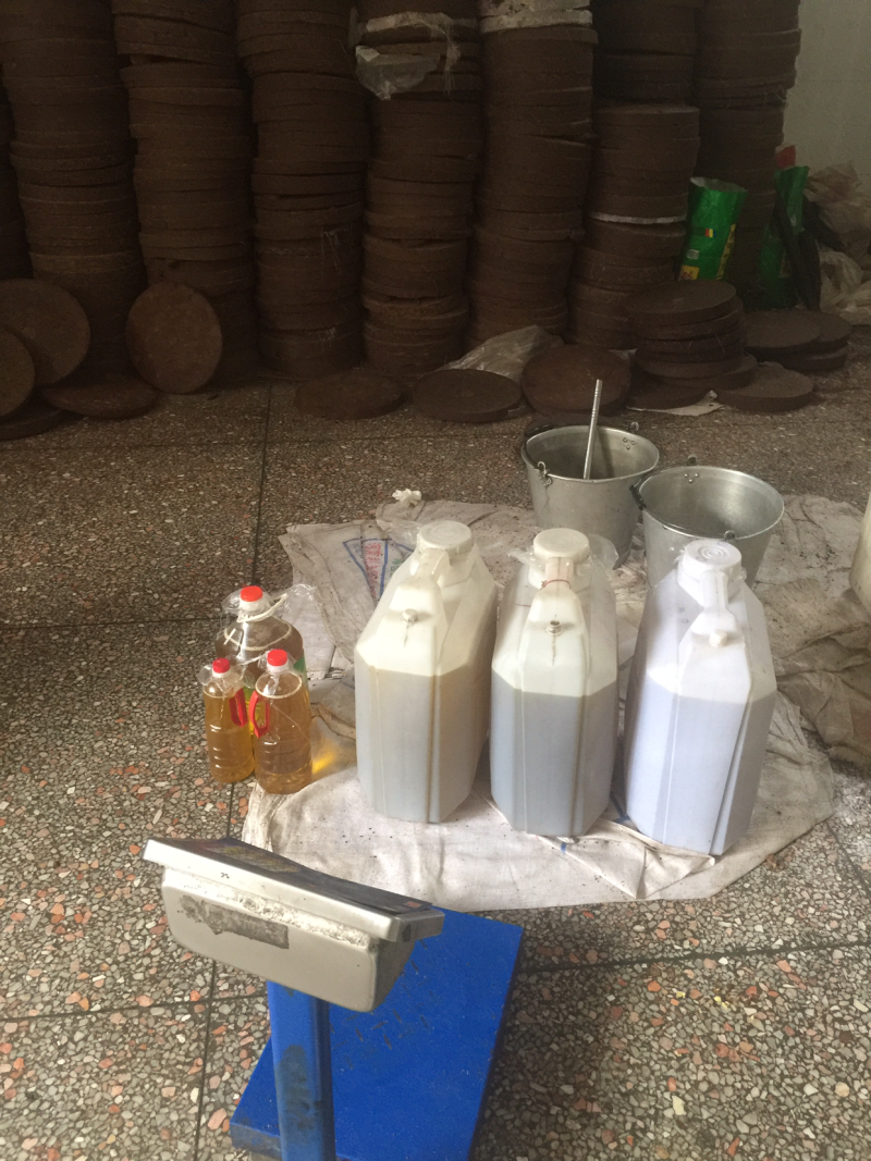 广西纯野生小茶压榨山茶籽果油老茶籽树茶籽油20斤包邮