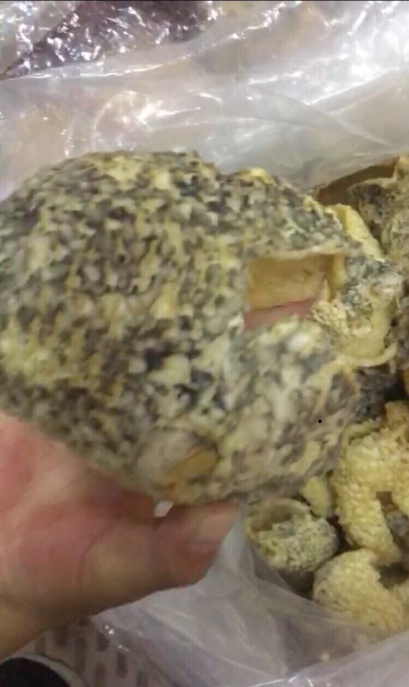 剌龟皮