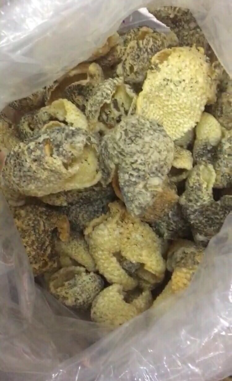 剌龟皮