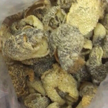 剌龟皮