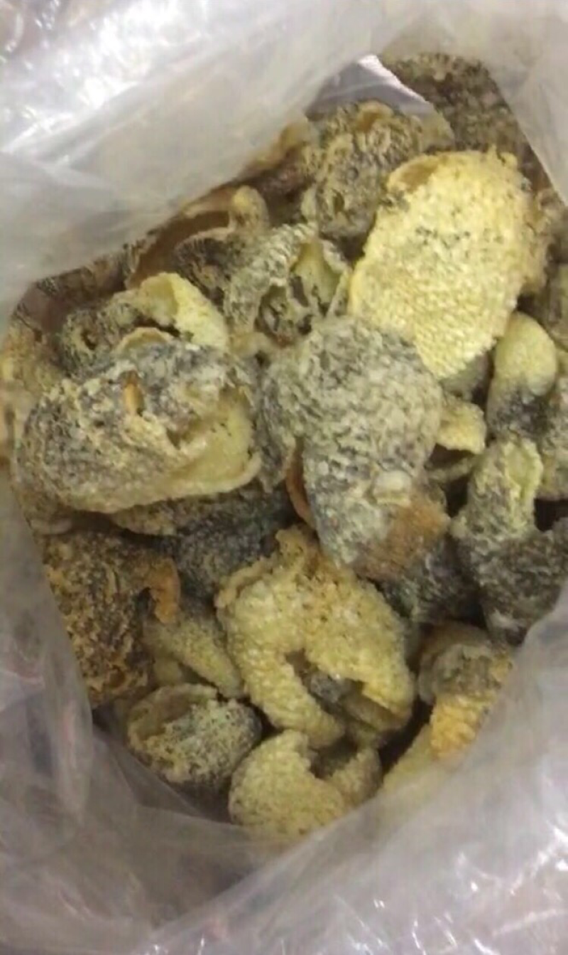剌龟皮
