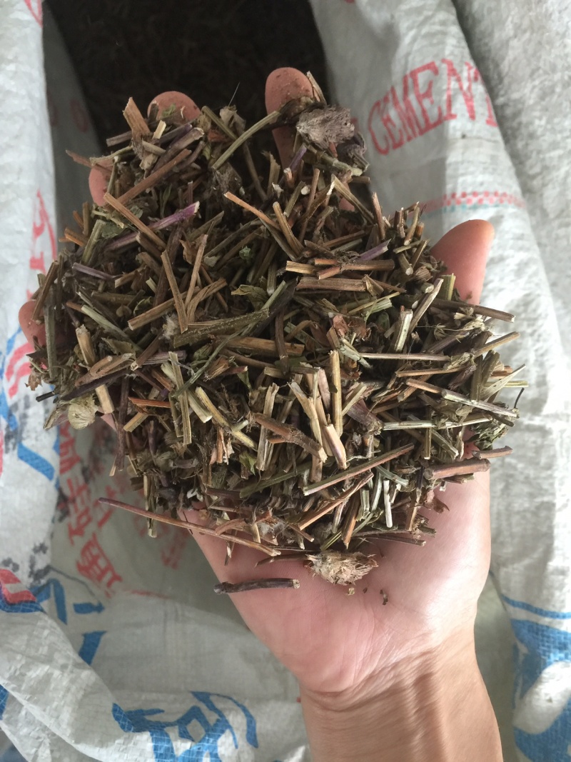 夏枯草今年新货广西无硫野生原生态草