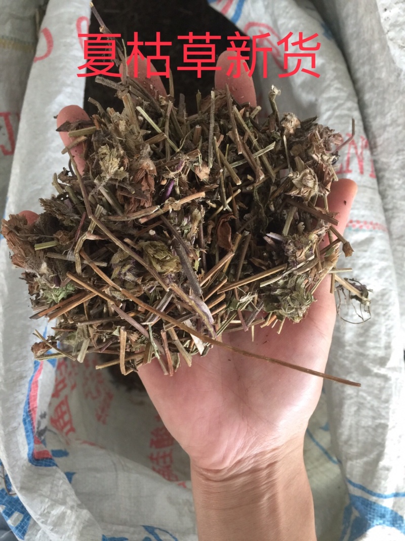 夏枯草今年新货广西无硫野生原生态草