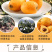 云霄农家自制枇杷膏500g孕妇儿童琵琶膏可一件代发