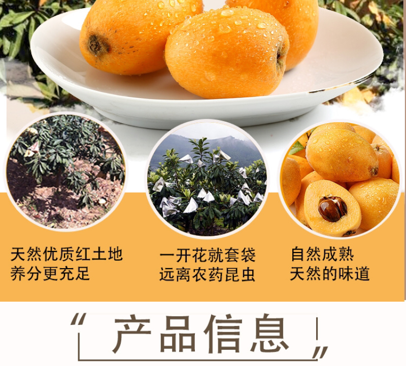 云霄农家自制枇杷膏500g孕妇儿童琵琶膏可一件代发