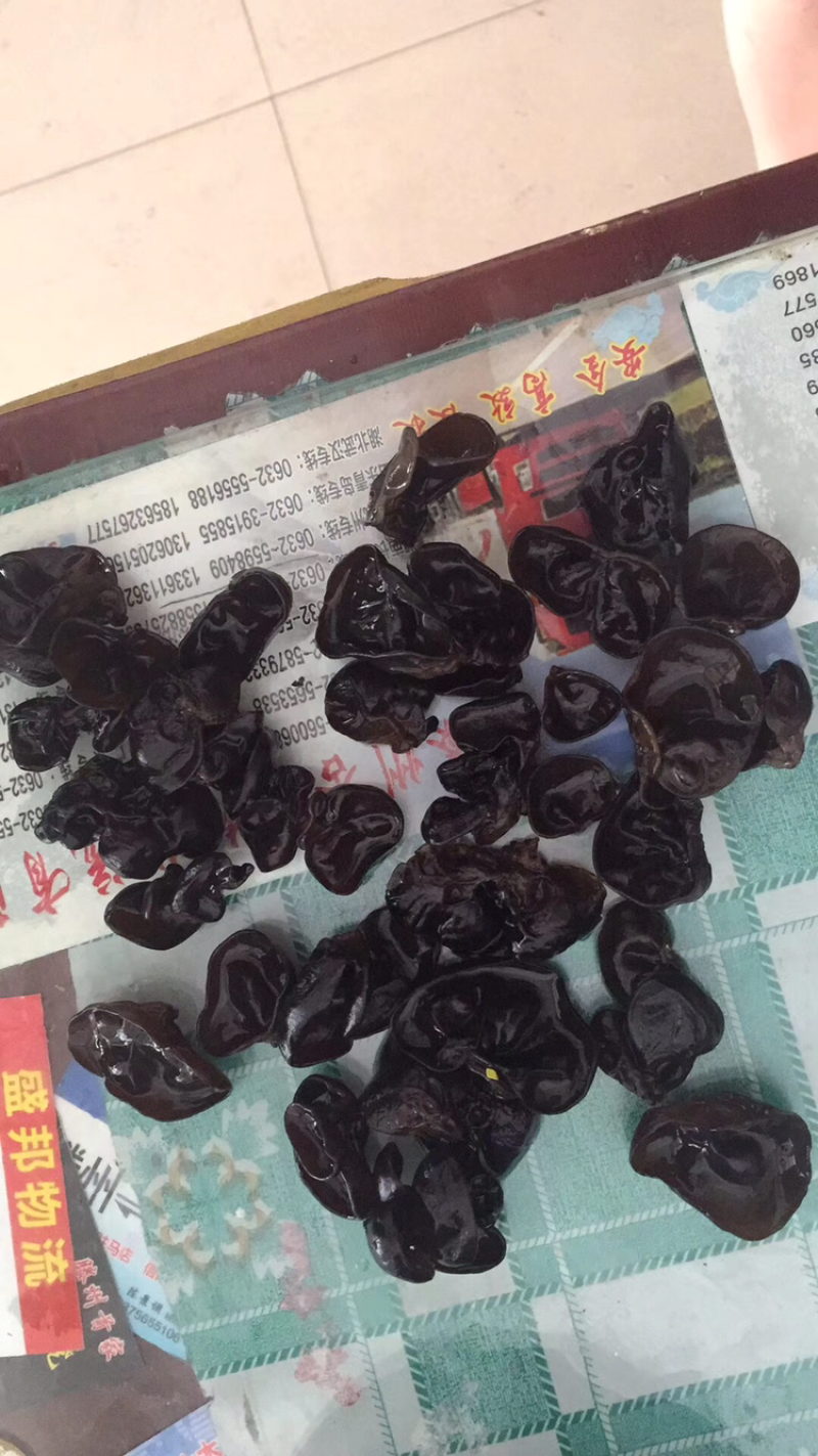 东北黑山木耳碗耳黑厚特级1.2