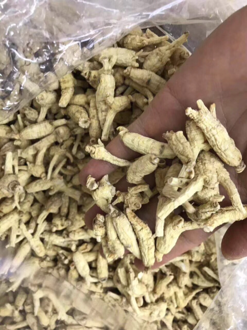 花旗参，开叉1～2克头规格