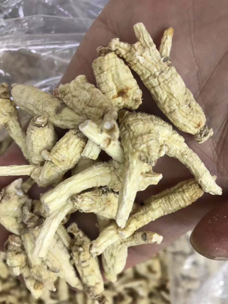 花旗参，开叉1～2克头规格
