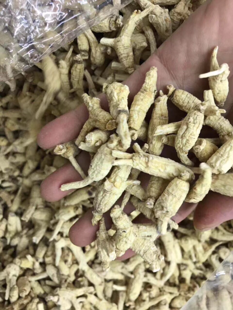 花旗参，开叉1～2克头规格