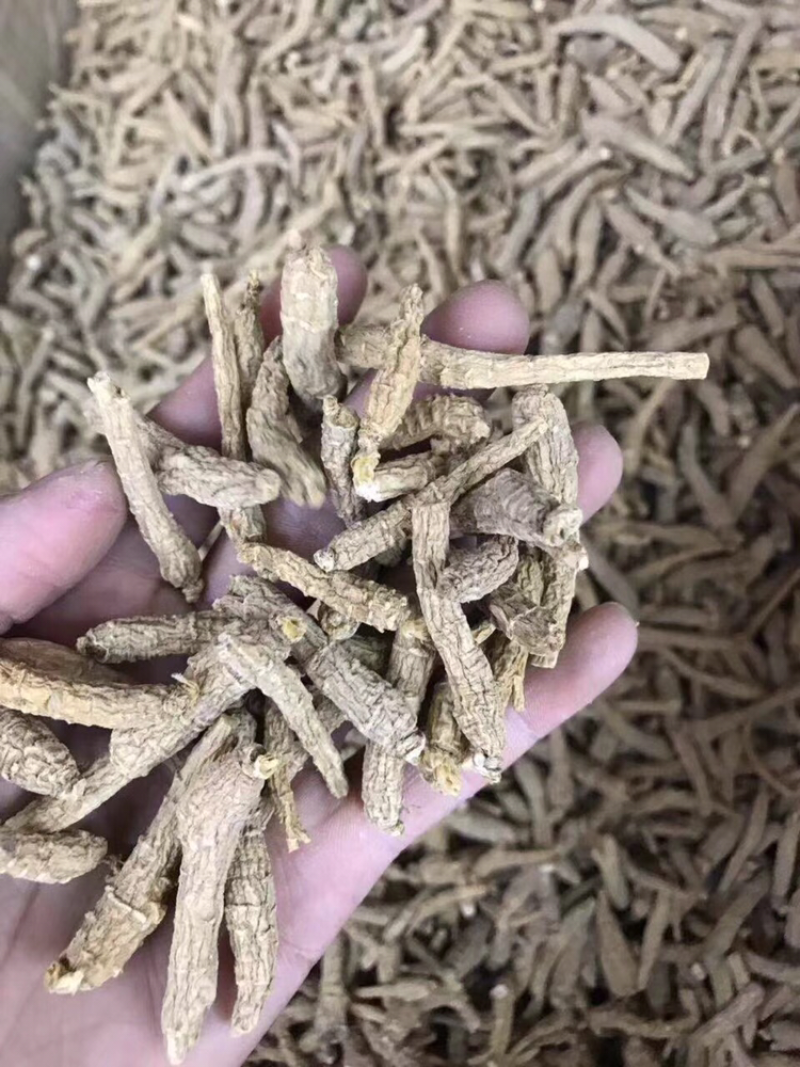 花旗参，小条，图片大，