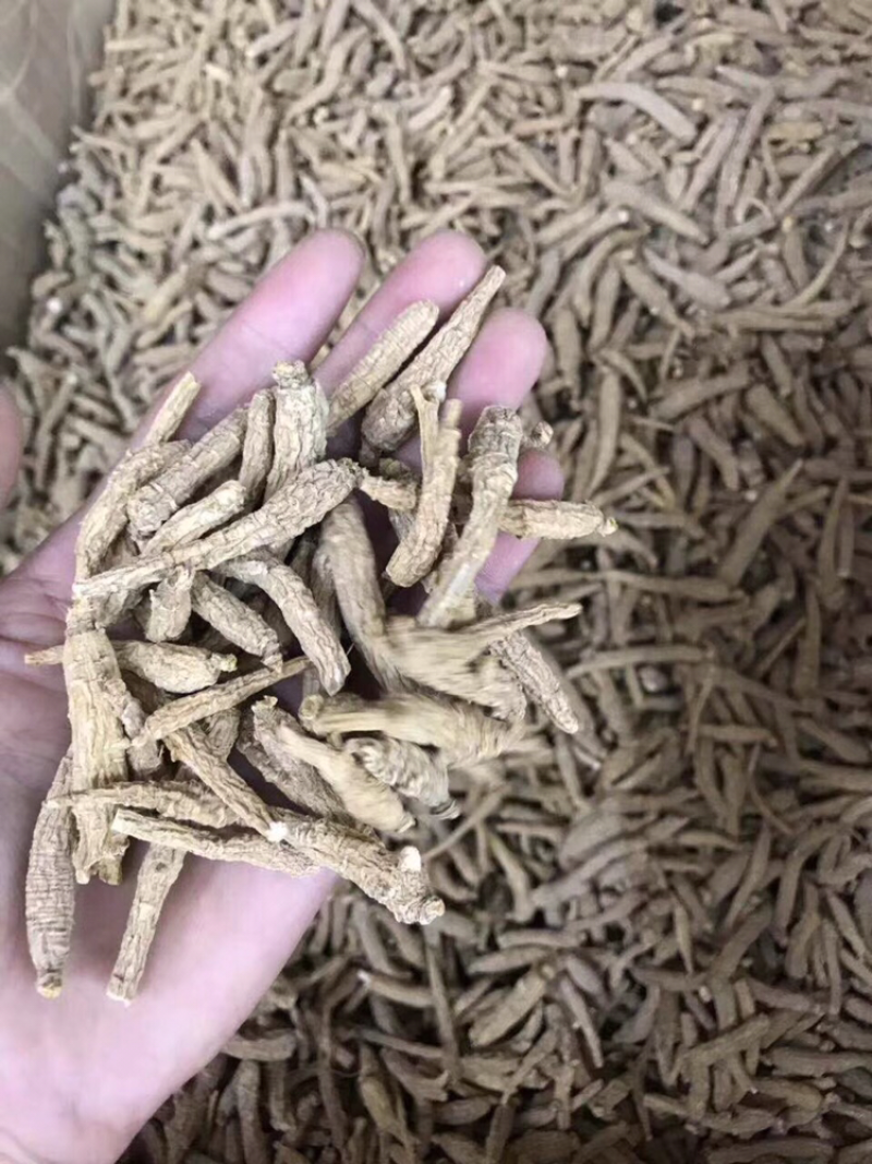花旗参，小条，图片大，