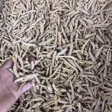 花旗参，小条，图片大，