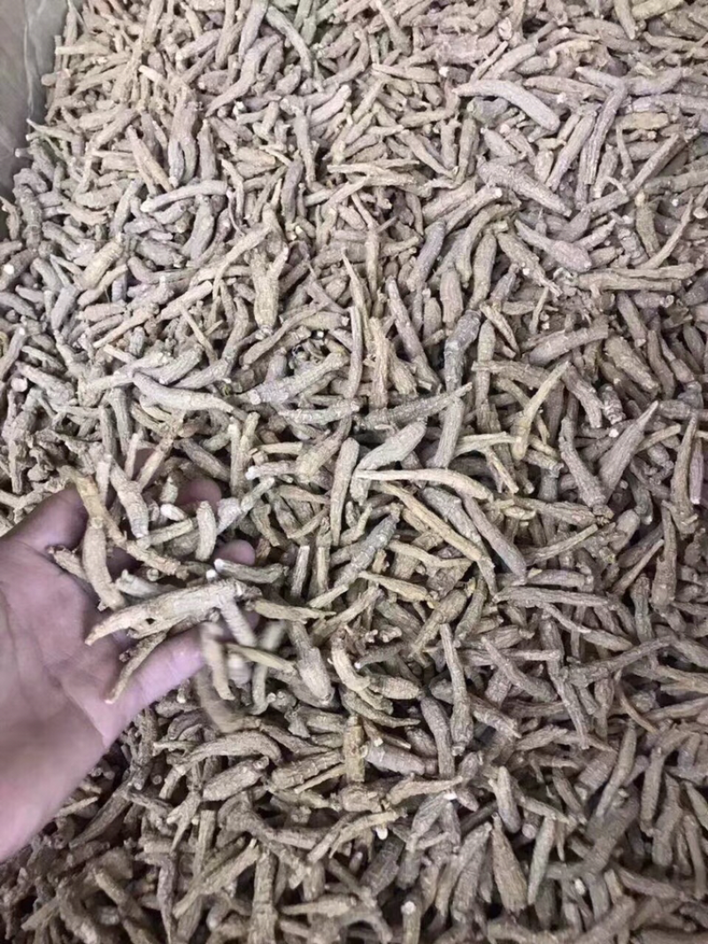 花旗参，小条，图片大，