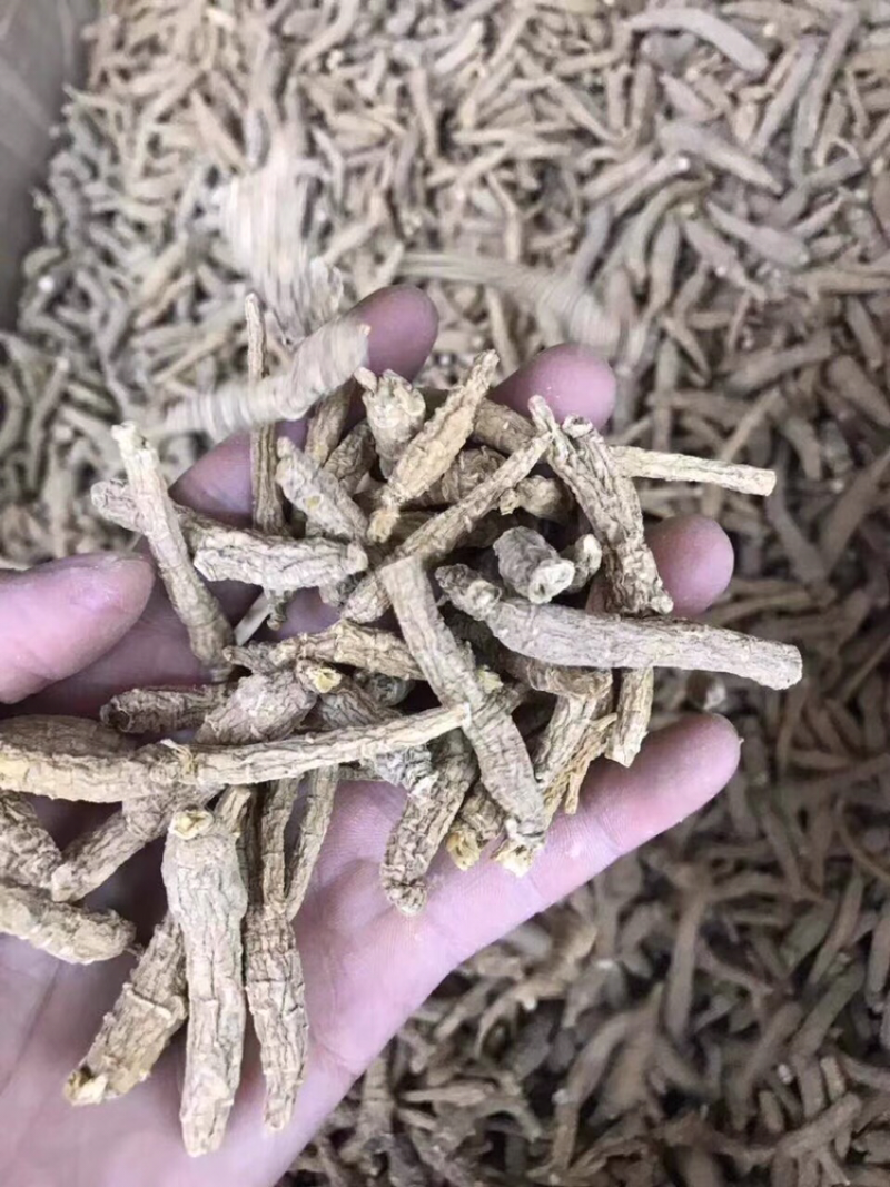 花旗参，小条，图片大，