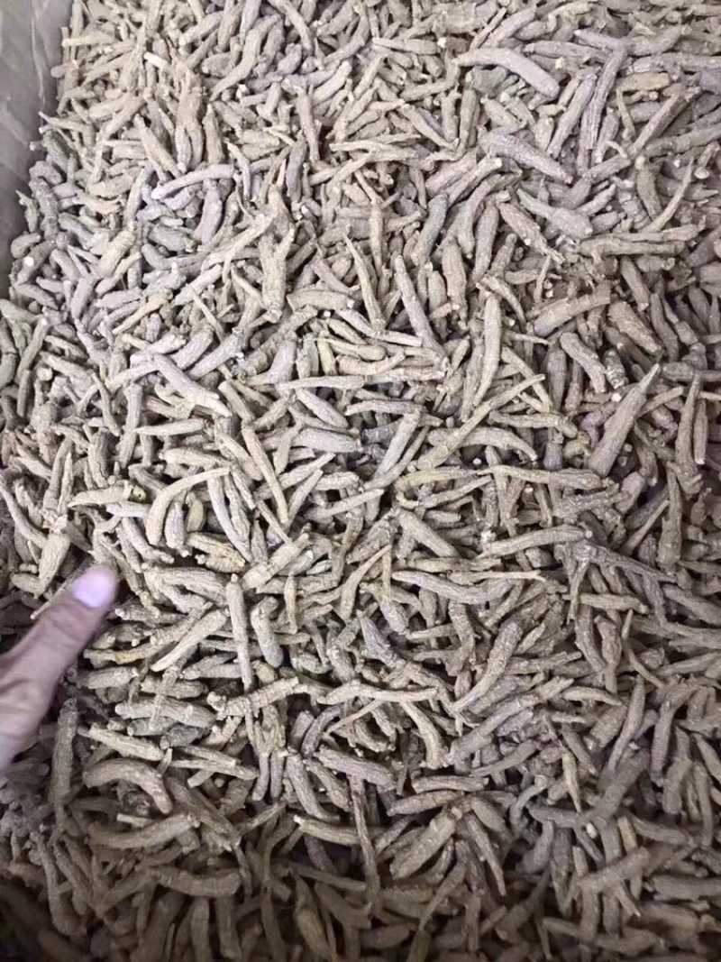 花旗参，小条，图片大，