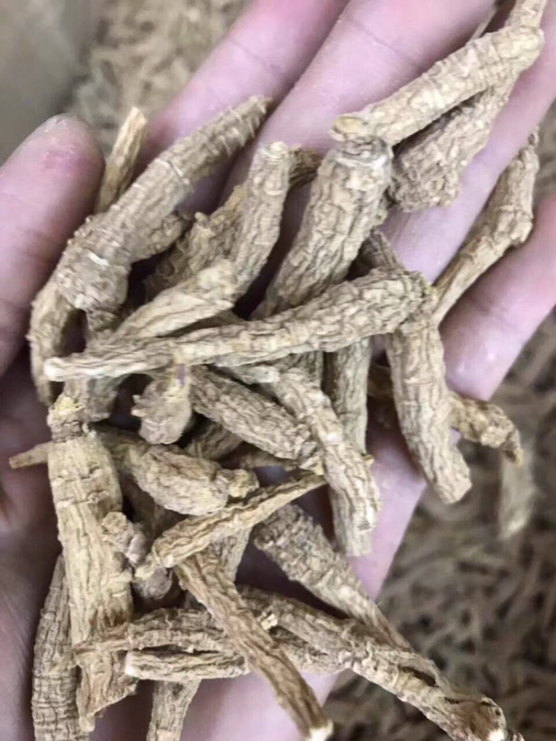花旗参，小条，图片大，