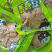 重庆特产香菇豆干小吃零食品香辣散装整箱五香麻辣豆腐干