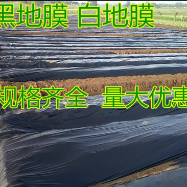 黑地膜