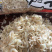 野生高品质熟晒虾皮盐虾皮
