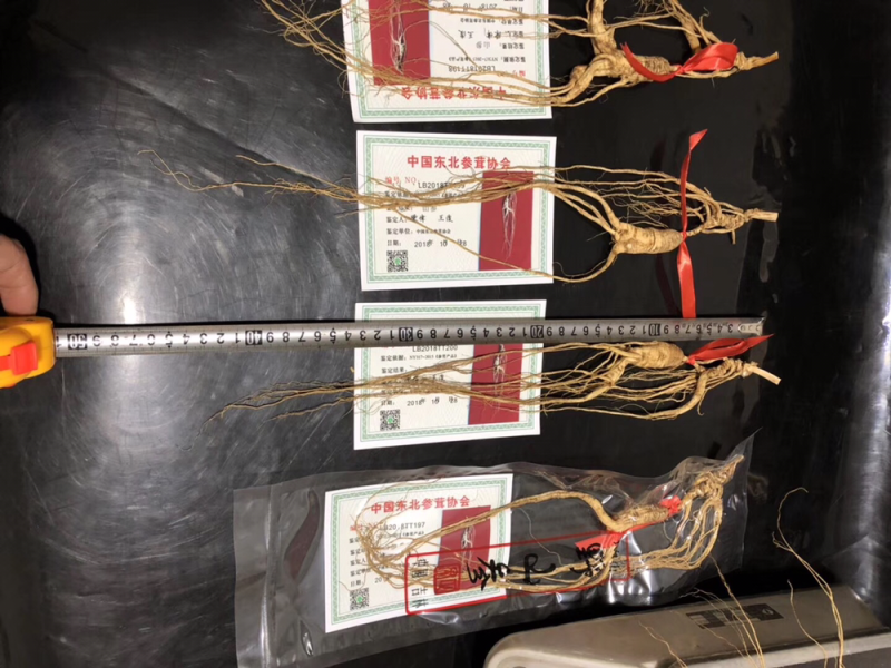 30年林下参，带证书，每根15克左右