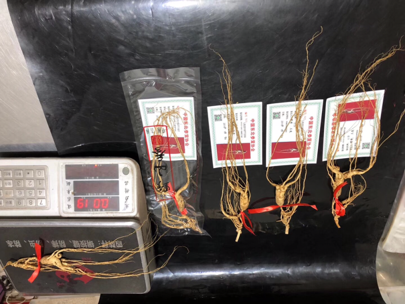 30年林下参，带证书，每根15克左右