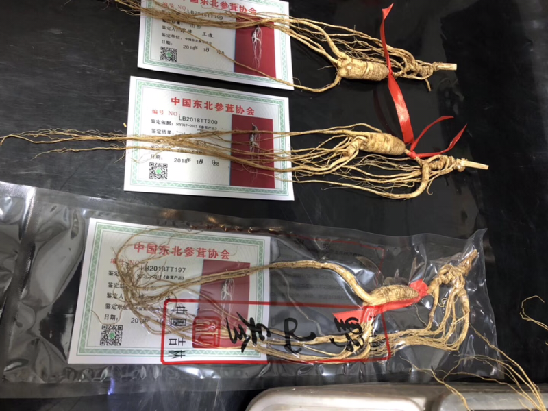 30年林下参，带证书，每根15克左右
