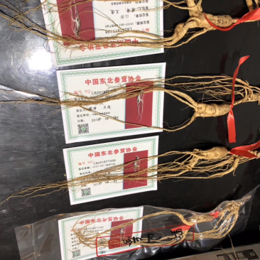 30年林下参，带证书，每根15克左右