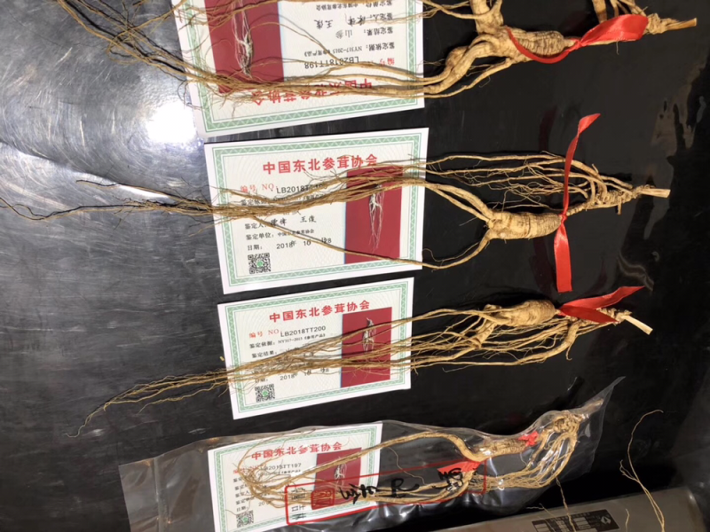 30年林下参，带证书，每根15克左右