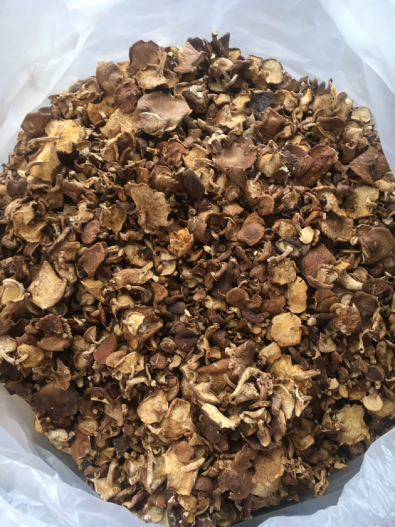香菇菌，野生香菇，野生食用菌批发，云南特产