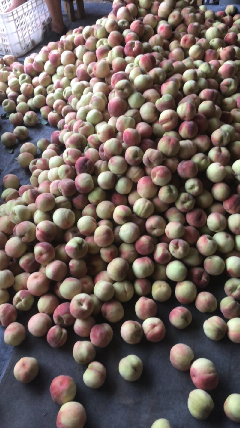大批量的久保桃，不到1块了
