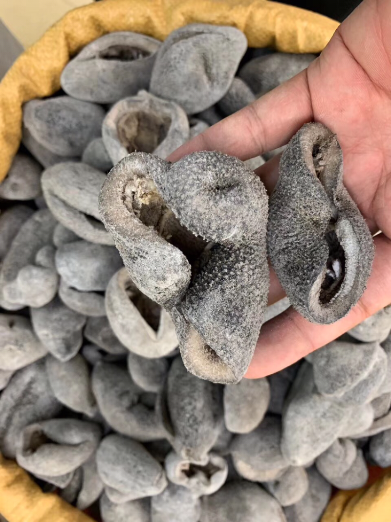海参，球参，10头一斤