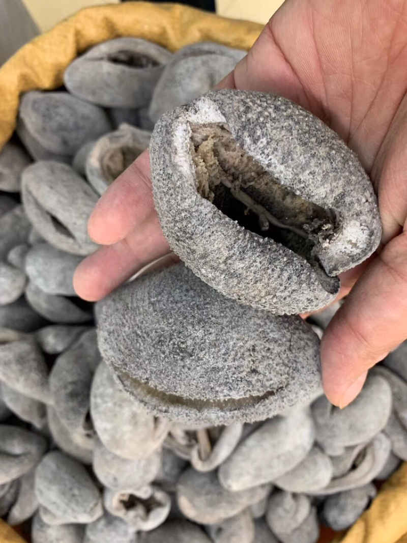 海参，球参，10头一斤