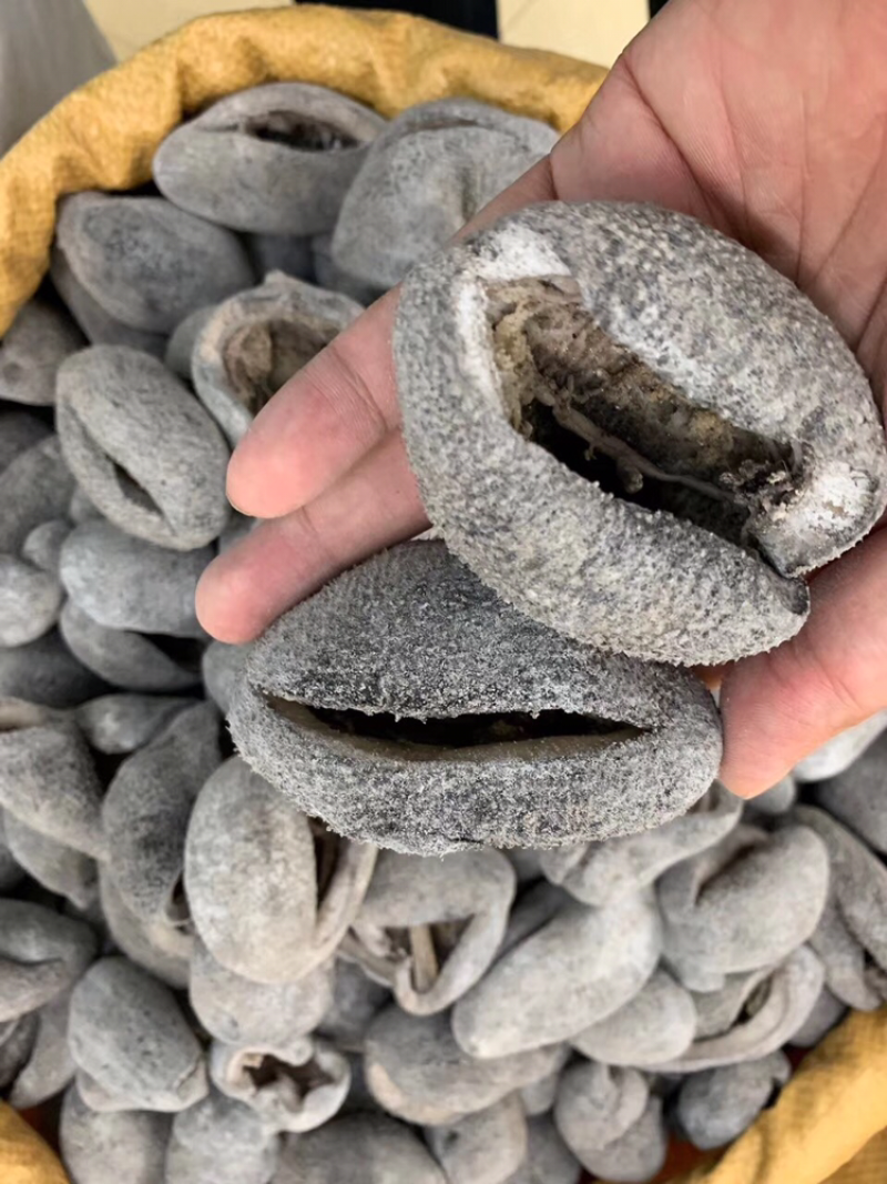 海参，球参，10头一斤