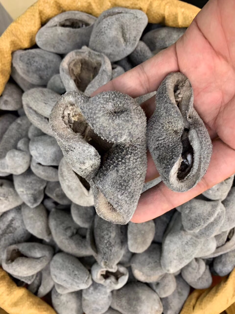 海参，球参，10头一斤
