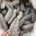 海参，黑猪婆参，2～3头一斤