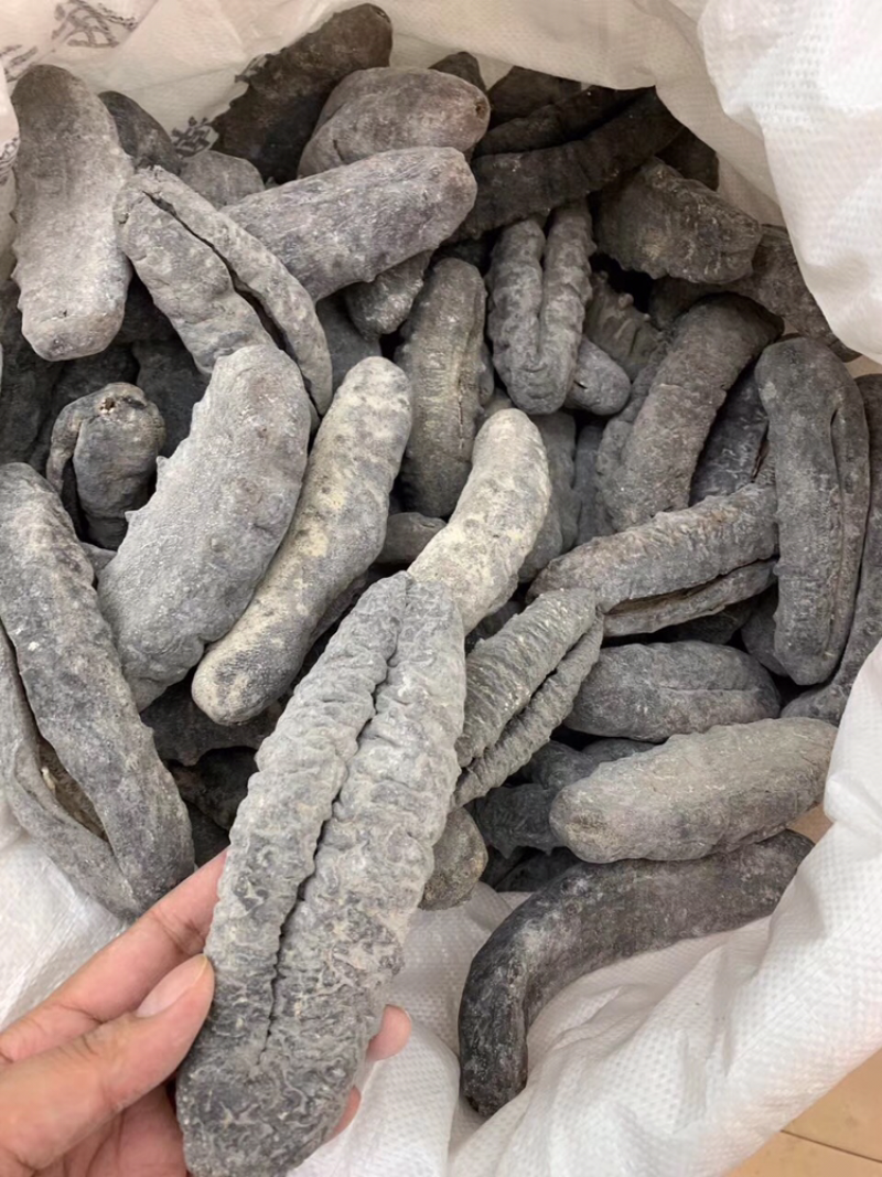 海参，黑猪婆参，2～3头一斤