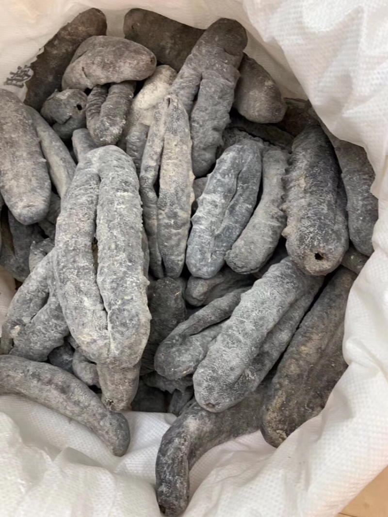 海参，黑猪婆参，2～3头一斤