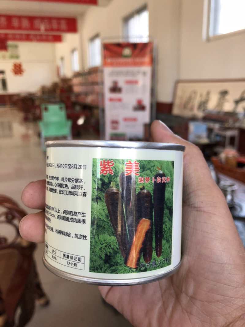 高端紫胡萝卜品种高端杂交种