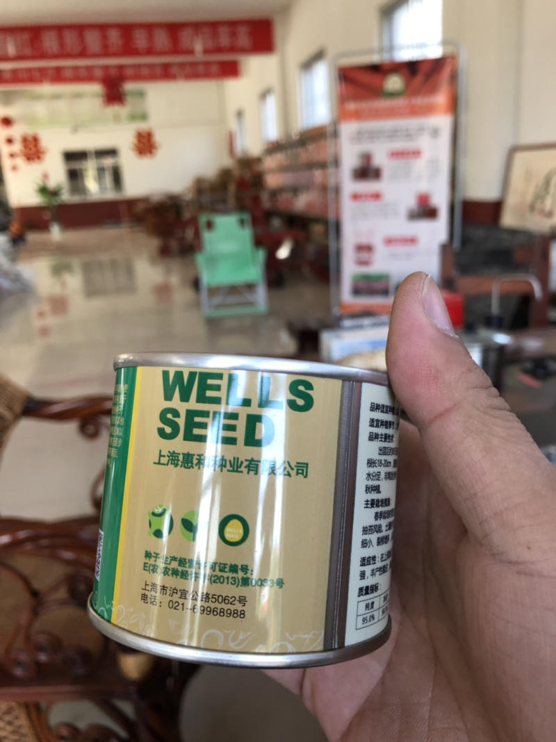 高端紫胡萝卜品种高端杂交种