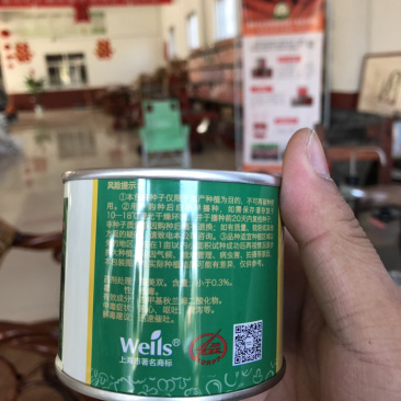 高端紫胡萝卜品种高端杂交种