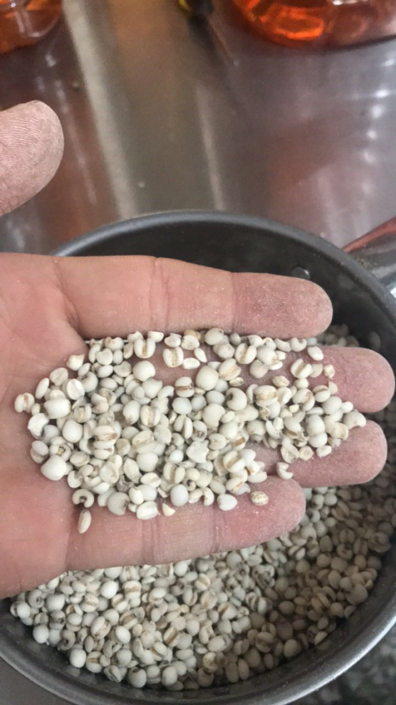 薏米，糯米薏米，香糯，龙岩适中特产