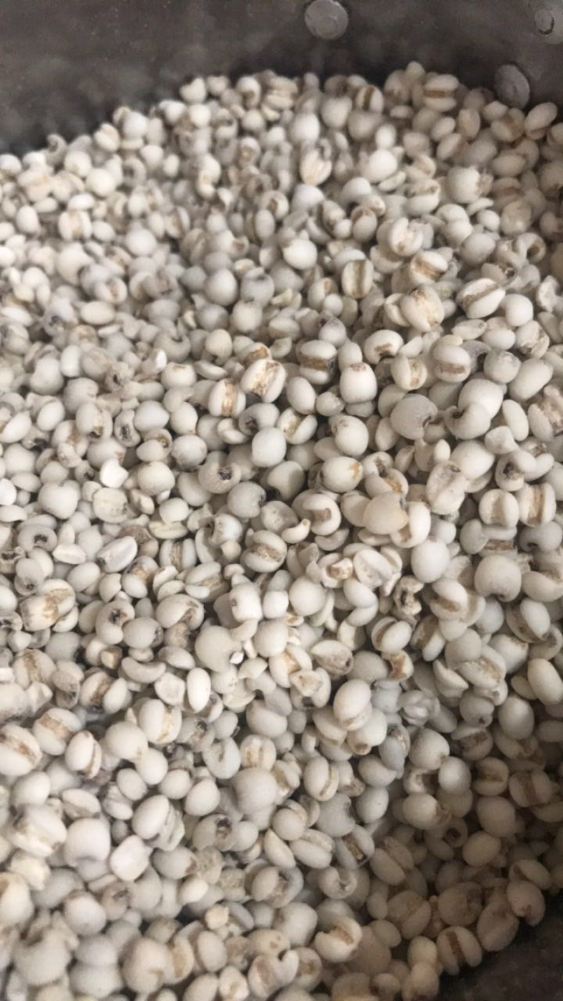 薏米，糯米薏米，香糯，龙岩适中特产