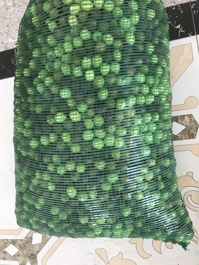新鲜莲蓬产地供应，质优价廉，可一件代发