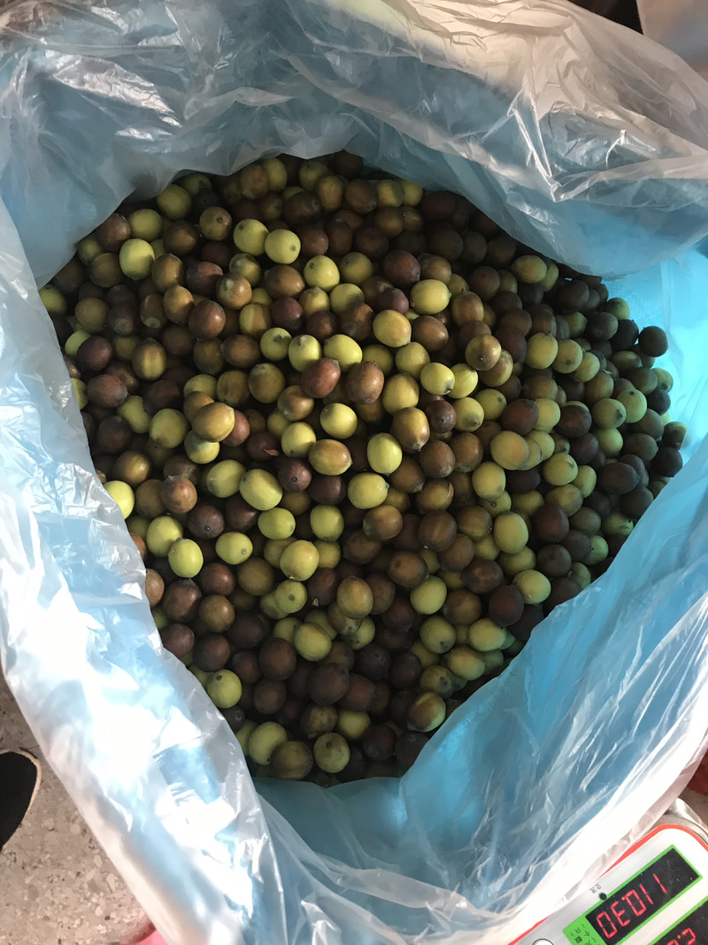 新鲜莲蓬产地供应，质优价廉，可一件代发