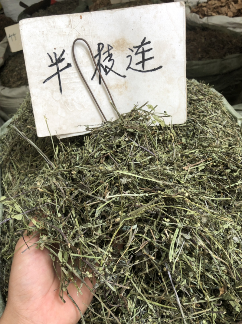 半枝连新货条子饮片规格齐