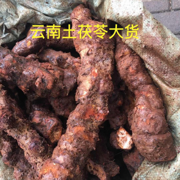 云南土茯苓(产地直销)，一手货源，价格美丽！