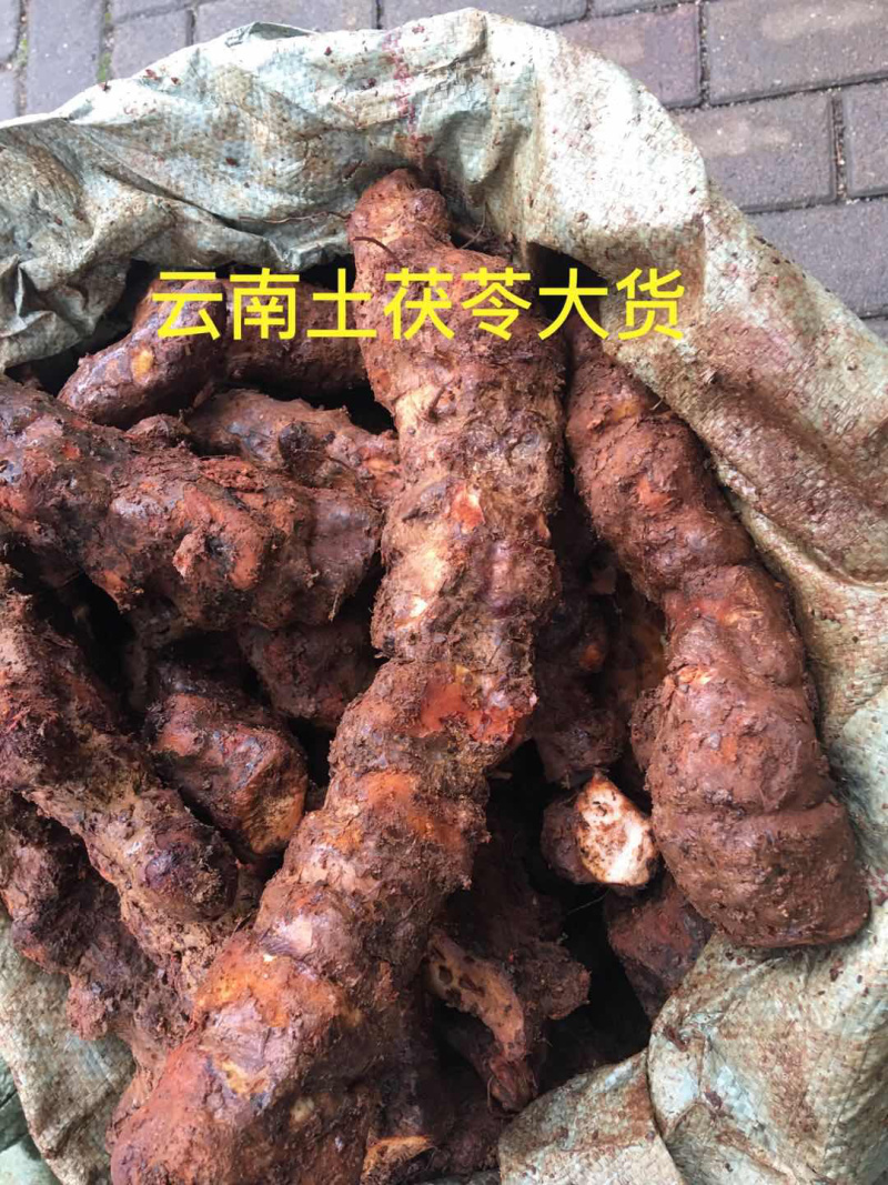 云南土茯苓(产地直销)，一手货源，价格美丽！