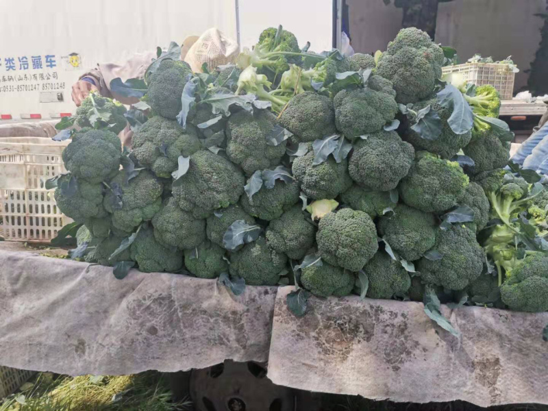 极品西兰花，看货给价