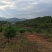 自家高山小茶油