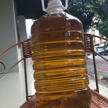 自家高山小茶油